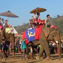 Elephant Festival in Sayabouri - Laos