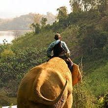 Elephant ride on the bank of the Mekong River, in Luang Prabang