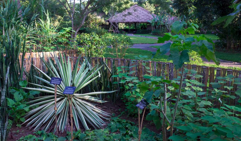 Pha-Tad-Ke Botanical Garden in Luang Prabang