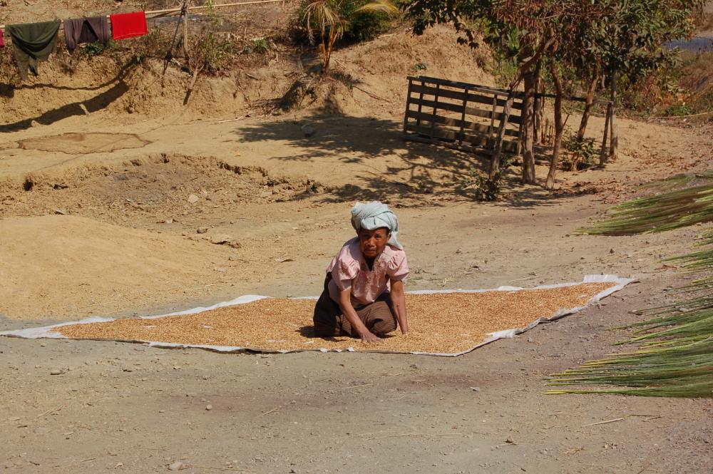 La vie dans les petits villages