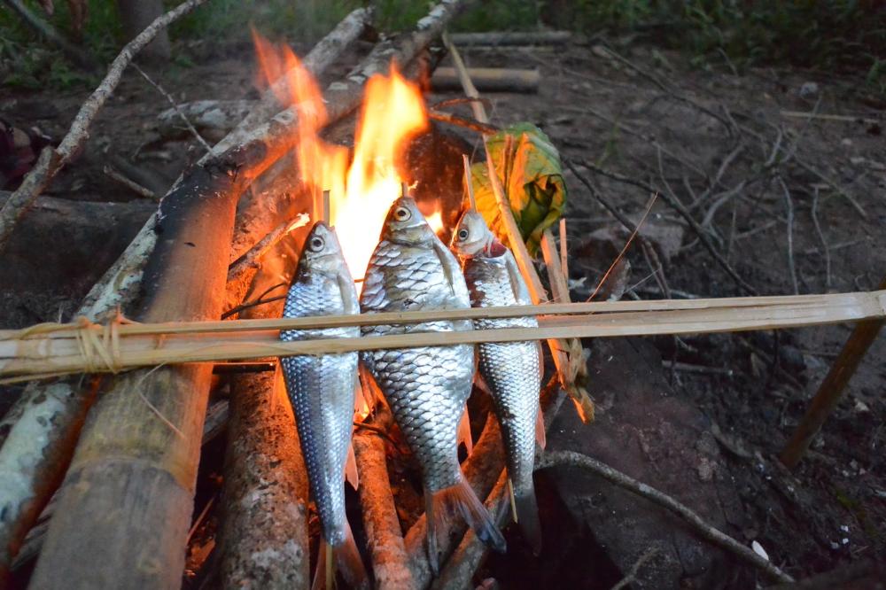 Fresh fish BBQ in the bank of the river