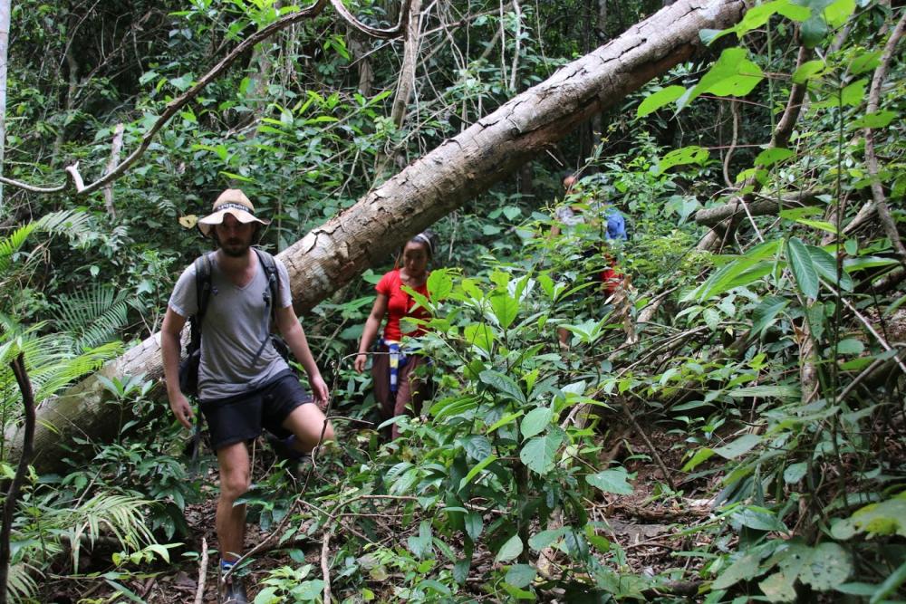 Explore a remote area