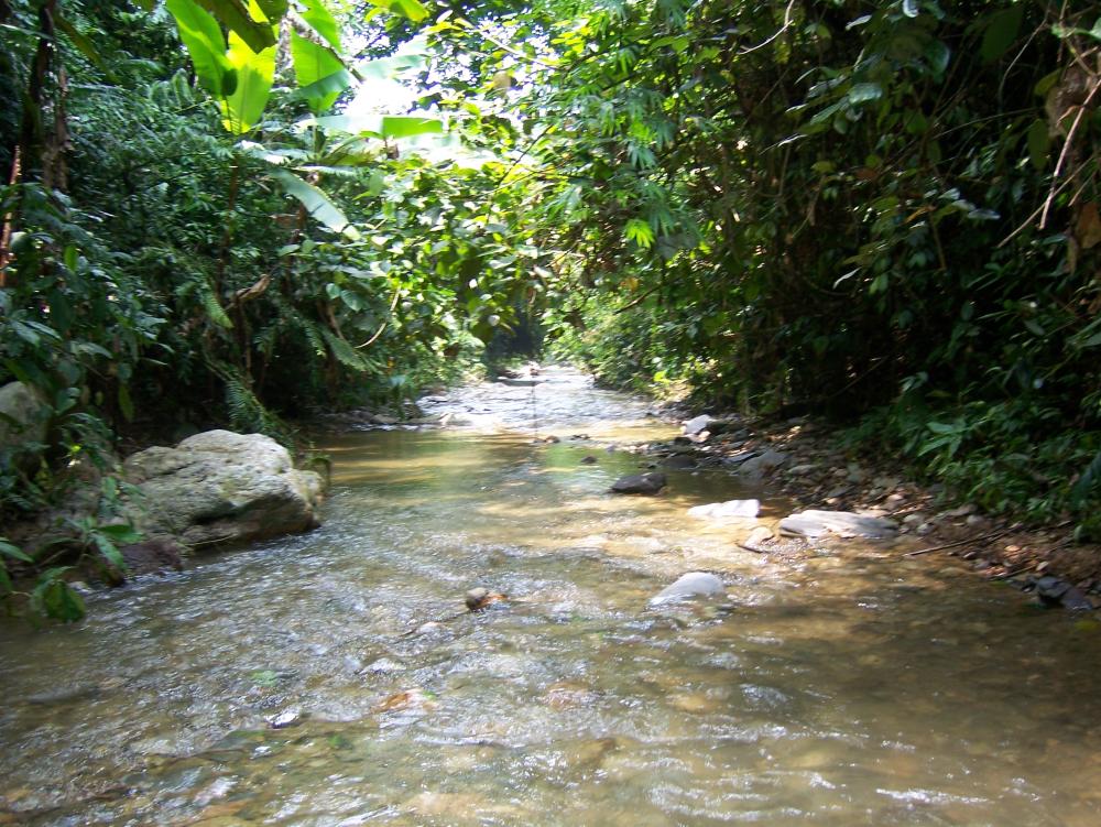 Trek autour de Muang Ngoi