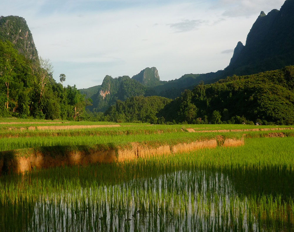 Sunset on ricefields during a 1 day trek to Ban Na