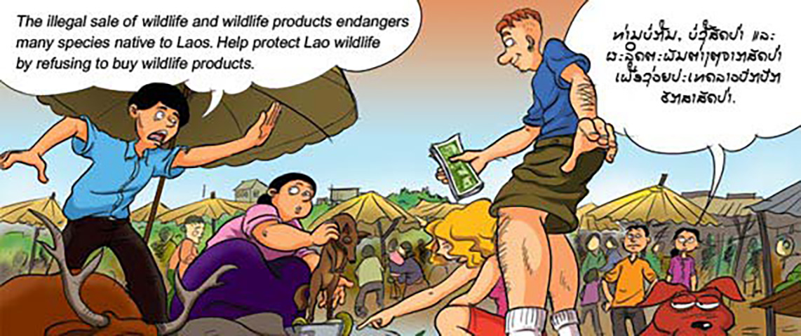 Don't buy wild products, many species are already in danger