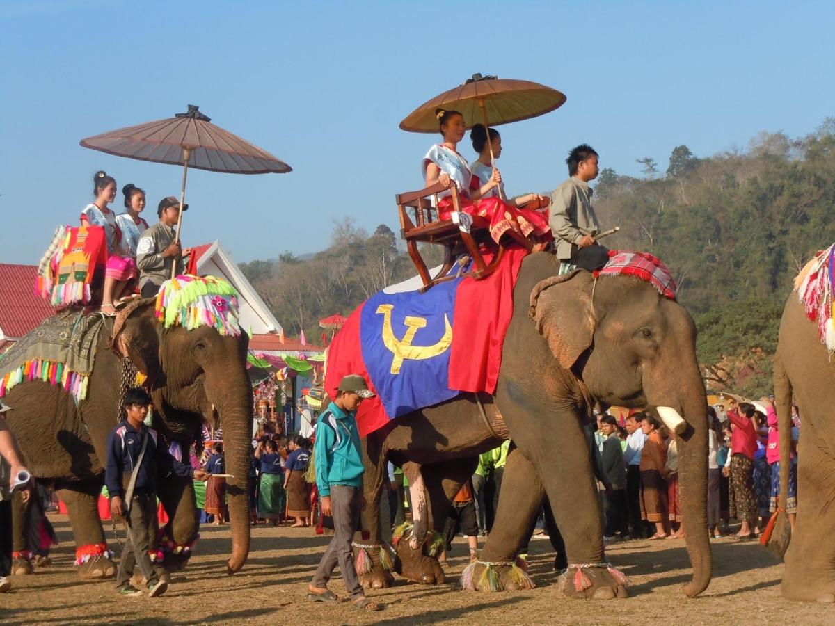 Les festival des éléphants, à Sayabouli