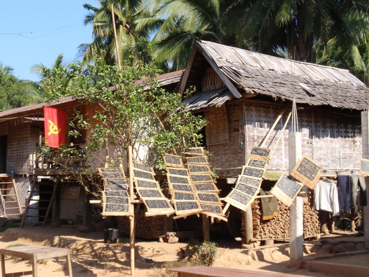 Close to Muang Ngoi, a little village producing Sea Weed