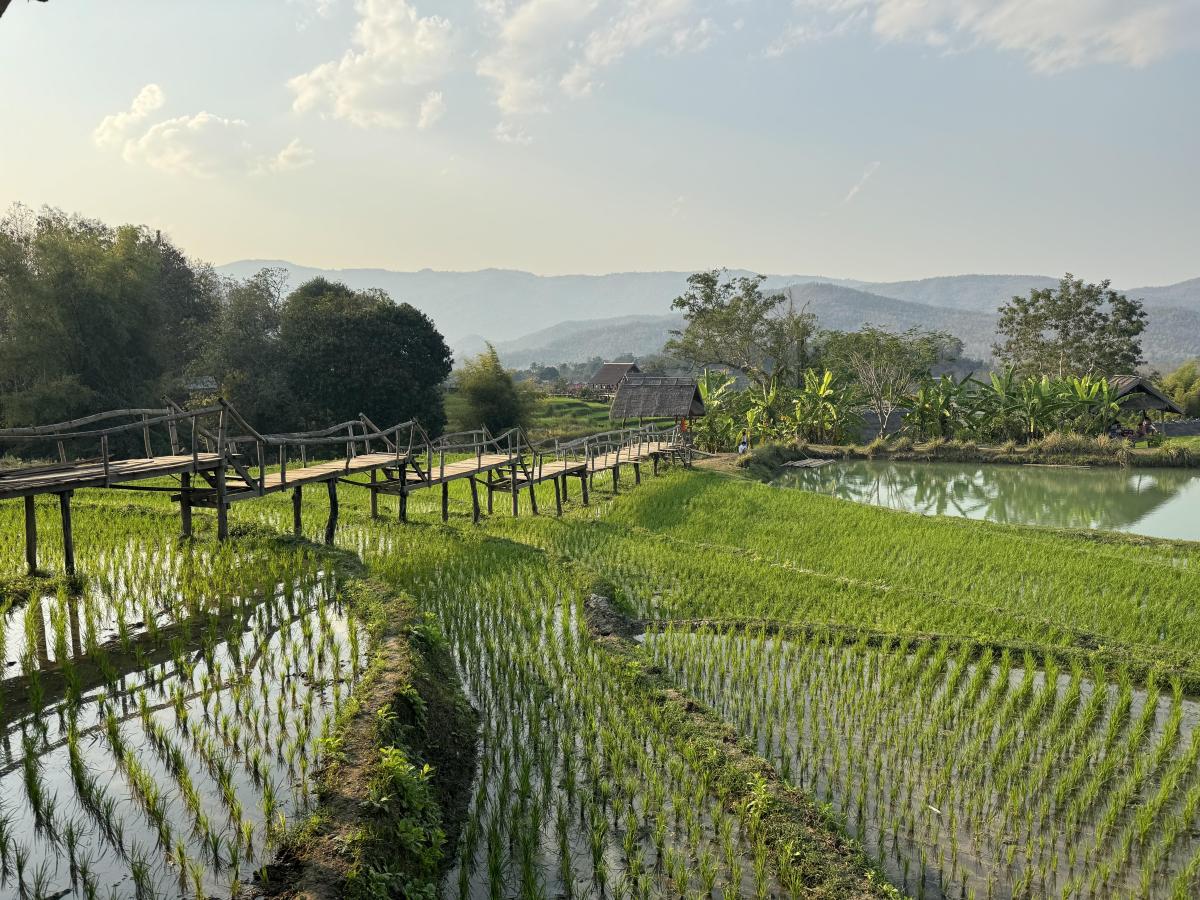 Accès à notre rizière, notre potager, et nos animaux