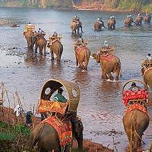 Caravan of the elephants through Northern-Laos