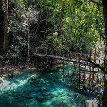 Many paths through a jungle with turquoise water