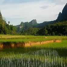 Sunset on ricefields during a 1 day trek to Ban Na