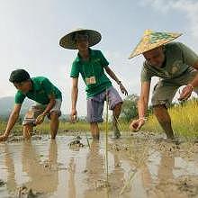 Living Land : the rice field and the organic farm