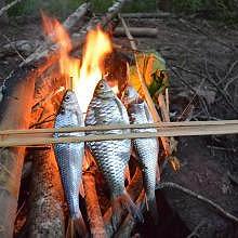 Fresh fish BBQ in the bank of the river