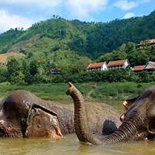 The elephant camp at Pakbeng - Northern Laos