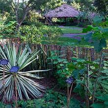 Pha-Tad-Ke Botanical Garden in Luang Prabang
