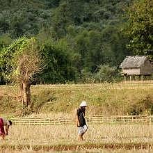Northern-Laos countryside, in Muang La area