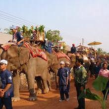 Parade of elephants in Hongsa during the festival