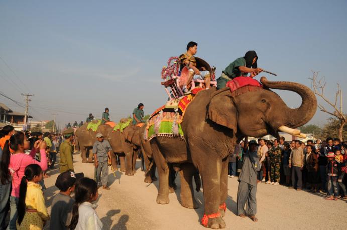 Elephant parade during the festival in February